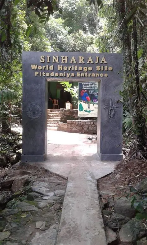 Sinharaja Rain Forest