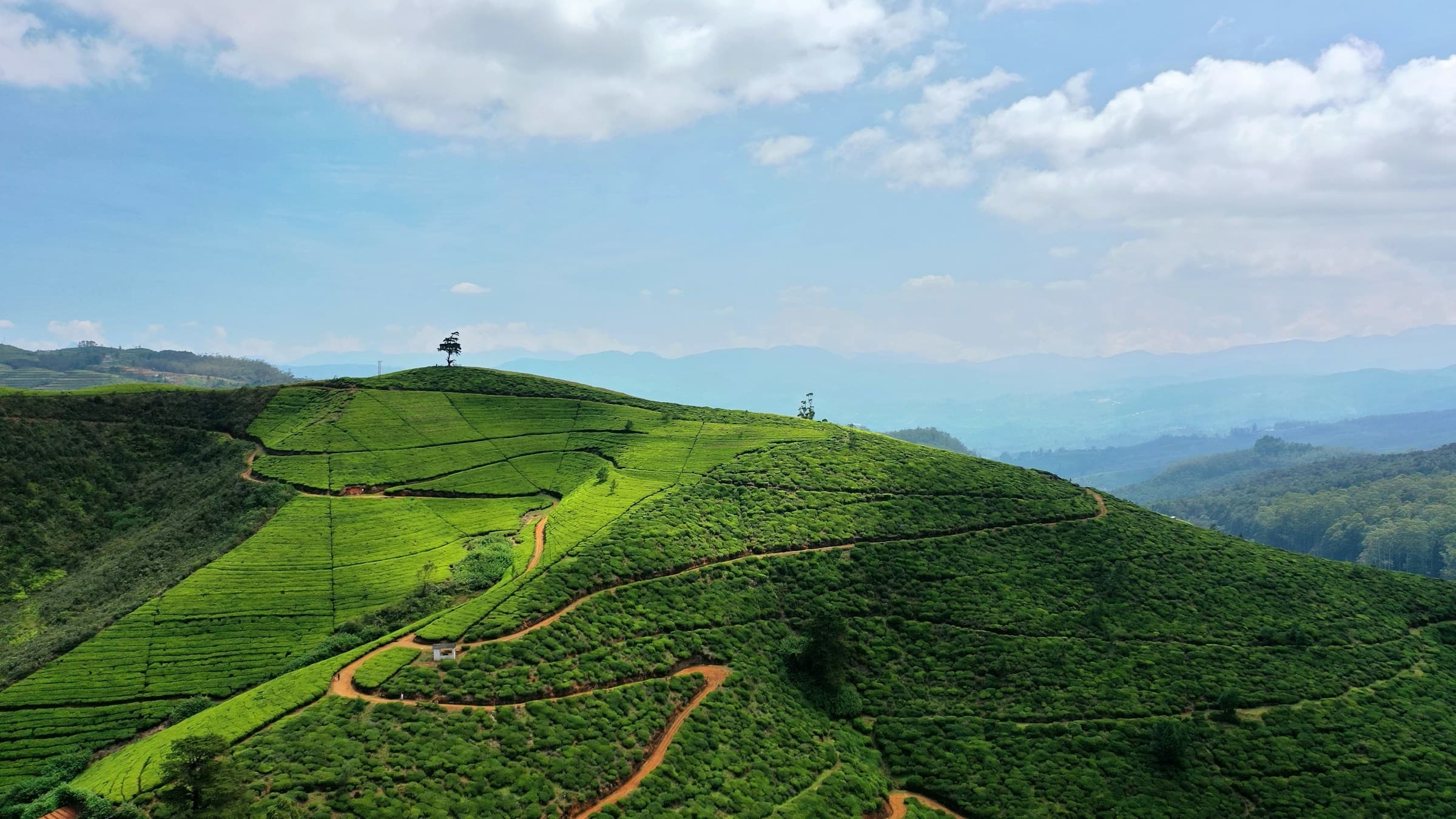 Footer Background Desktop